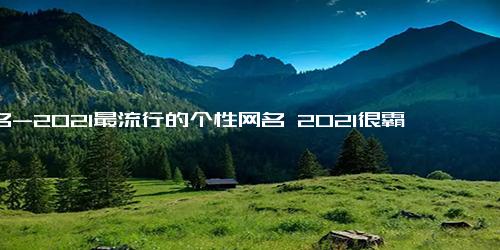 网名-2021最流行的个性网名 2021很霸气高级感的个性网名